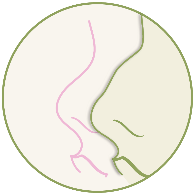 HyaluronNasen­korrektur Nasenkorrektur – Platzhalter