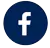 FaceBook Icon Klein